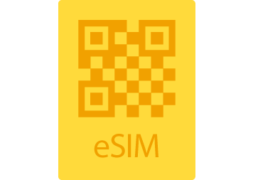 SIM card