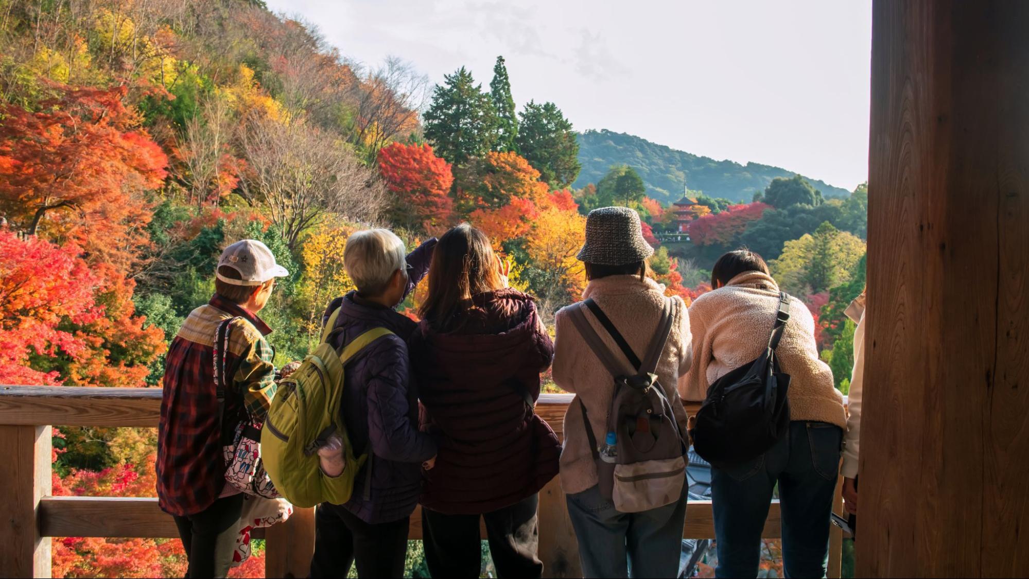 A family enjoying the beautiful autumn leaves in Japan