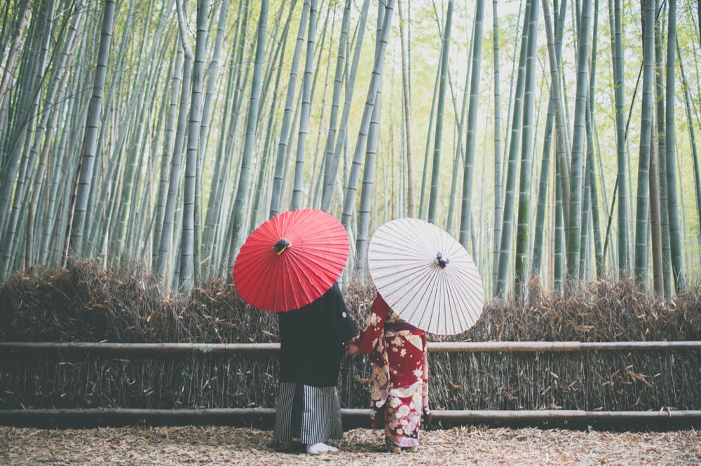 Foreign tourists exploring a lush bamboo forest in Japan