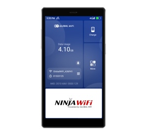 Pocket WiFi