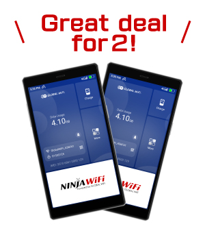 Pocket WiFi 2devices