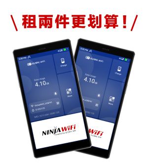 Pocket WiFi 2devices