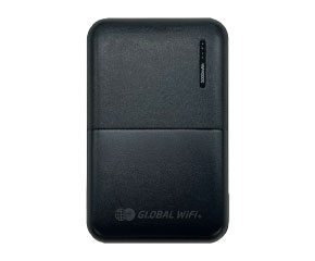 Portable Spare Battery